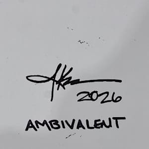 Ambivalent by J. Kent Martin, Image 2.