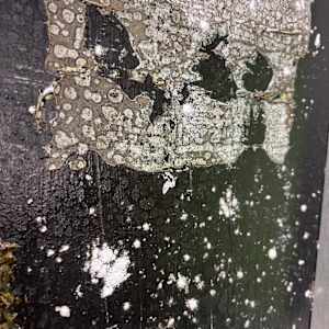 Blackfield by J. Kent Martin, Image 7.