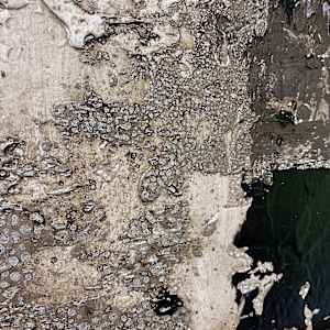 Indication by J. Kent Martin, Image 3.