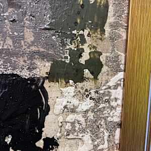 Indication by J. Kent Martin, Image 11.