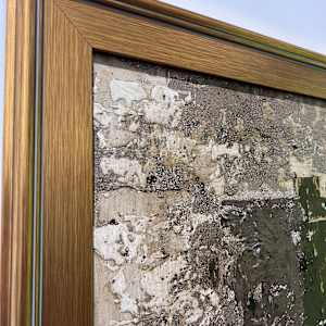 Indication by J. Kent Martin, Image 10.