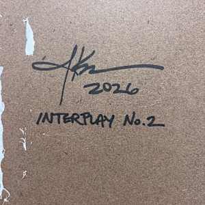 Interplay No. 2 by J. Kent Martin, Image 11.
