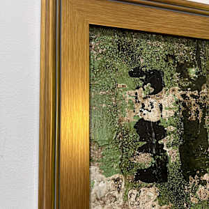 Optimism No. 1 by J. Kent Martin, Image 5.