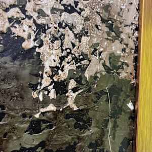 Somber No. 1 by J. Kent Martin, Image 7.