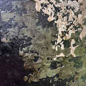 Somber No. 1 by J. Kent Martin, Image 4.