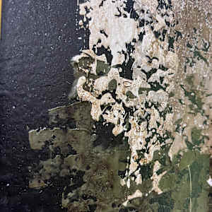 Somber No. 1 by J. Kent Martin, Image 12.