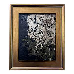 Somber No. 1 by J. Kent Martin, Image 3.