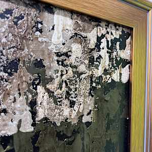 Somber No. 2 by J. Kent Martin, Image 17.