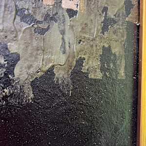 Somber No. 2 by J. Kent Martin, Image 18.