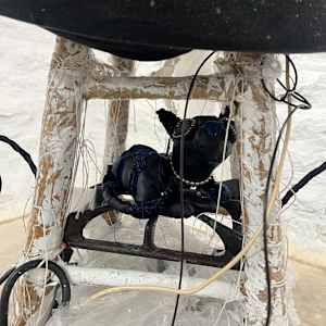 Boiling Body of a  Latina Girl Who  Dreams of Butterflies and Housing Stability by Olga Shute 