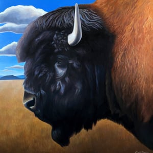American Bison by Christie Snelson 