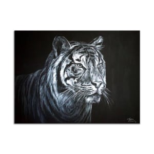 White Tiger by Andrea Ehrhardt