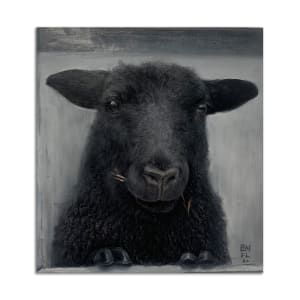 Black Sheep by François Larivière, Brad Noble