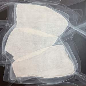 Bone Flower by Annie Donohue, Image 1.