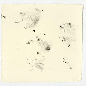 September 5th, 2024.  Lost Hill Park; Dry  Sac River. 10:13 pm.  American Bullfrog. by Camryn Gulledge 