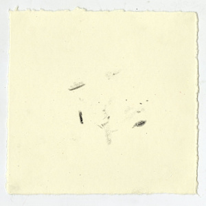 October 17th, 2024.  Lost Hill Park; South  Dry Sac River. 11:17 pm.  Southern Redbelly by Camryn Gulledge 