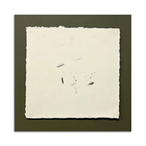 October 17th, 2024.  Lost Hill Park; South  Dry Sac River. 11:17 pm.  Southern Redbelly by Camryn Gulledge