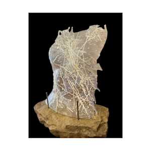 Shards of a Former Self by Cheryl Vowels