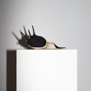 Untitled, 2024 by Kara Coonrod