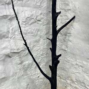 Devolution II by Lil Olive 