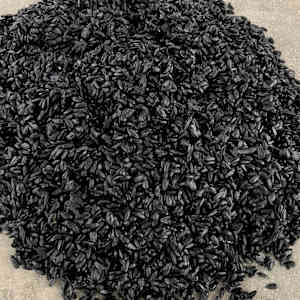 Devolution I by Lil Olive 