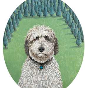 Dog by Jane Troup 