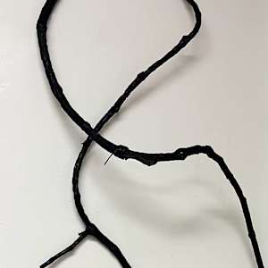 Eternal Vine by Lil Olive 