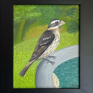 Female Rose-breasted Grosbeak by Jane Troup 