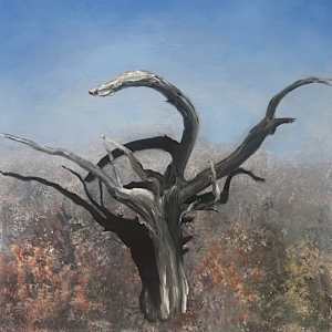 Forest Ghosts by Lil Olive 