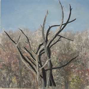 Forest Ghosts by Lil Olive 