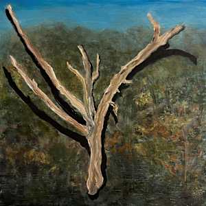 Forest Ghosts by Lil Olive 