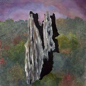 Forest Ghosts by Lil Olive 