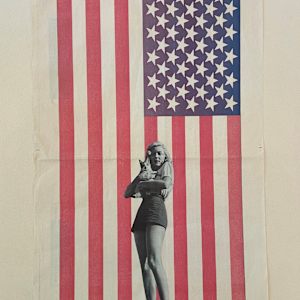 Girl, Cat and Flag by Rosie Winstead 