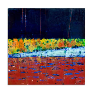 Ha Ha Tonka Lake by T.D. Scott