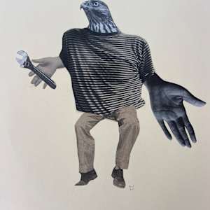 Handyman Hawk by Rosie Winstead 