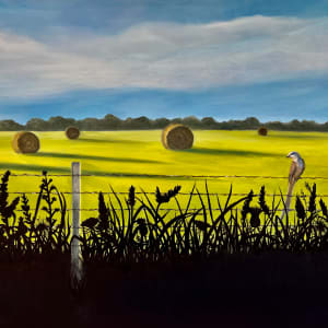 Hay Bales by Lil Olive 