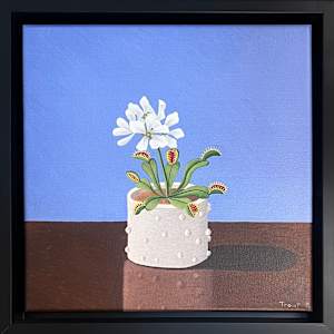 Venus Fly Trap Print by Jane Troup, Image 1.