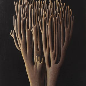 Tall Tan Corals by Jane Troup 