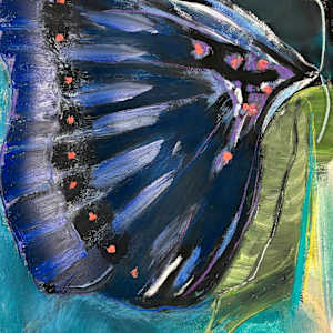 Butterfly on Painted Wing by Jane Parker 