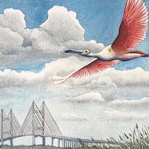 Flyover by Linda Chipperfield, Image 1.