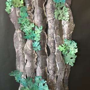 Foliose Lichens by Lura Faye 