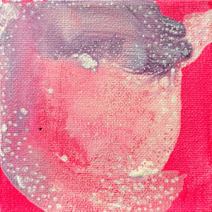 Micro/Macro VI by Meganne Rosen 