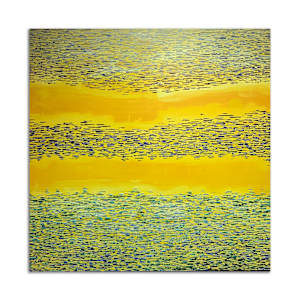 Open Range by J.D. Hull