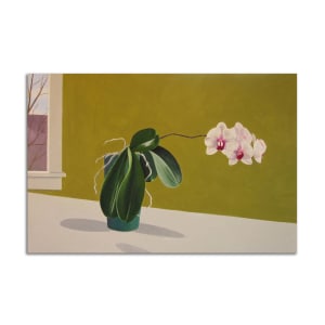 Orchids by Jane Troup