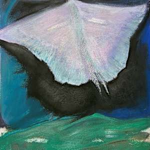 Pearl Moth by Jane Parker 