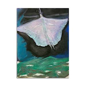 Pearl Moth by Jane Parker