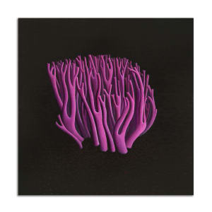 Pink Coral by Jane Troup