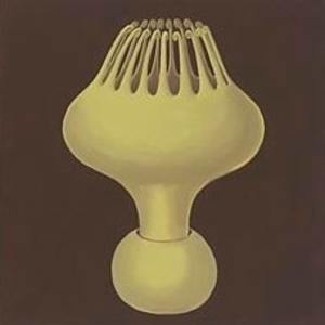 Protozoa by Jane Troup 