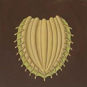 Protozoa by Jane Troup 