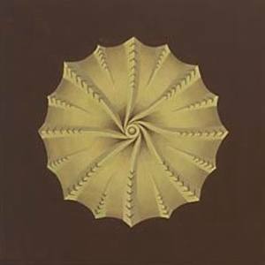 Protozoa by Jane Troup 